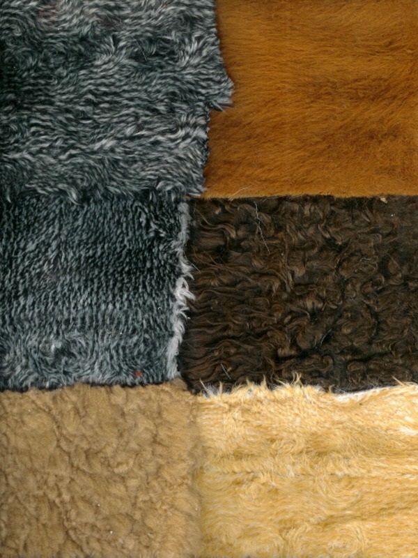 various fur1.jpg