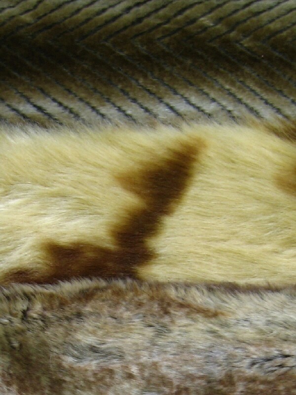 two tone color fur.jpg