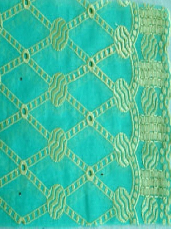 voile embroidery1.jpg