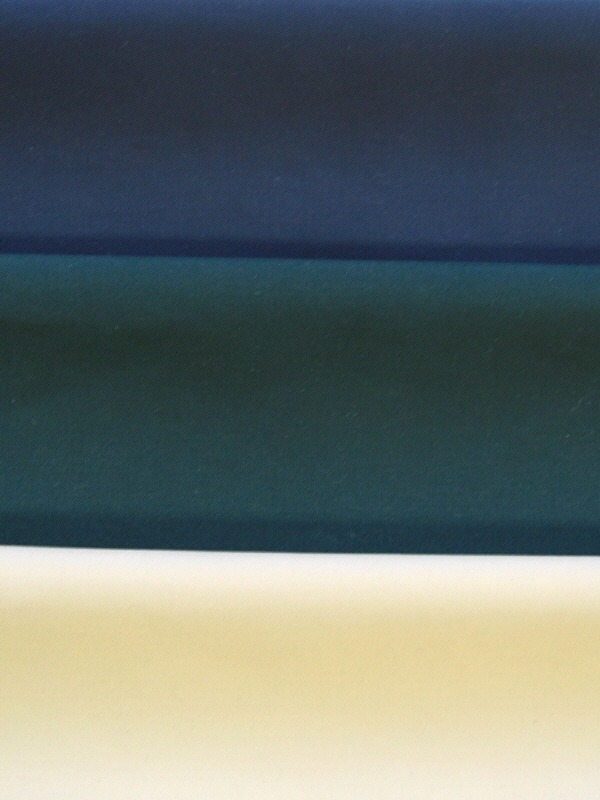 pu coated dewspo fabric.jpg